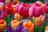 /album/ley-del-minimo/ley-del-minimo-jpg/